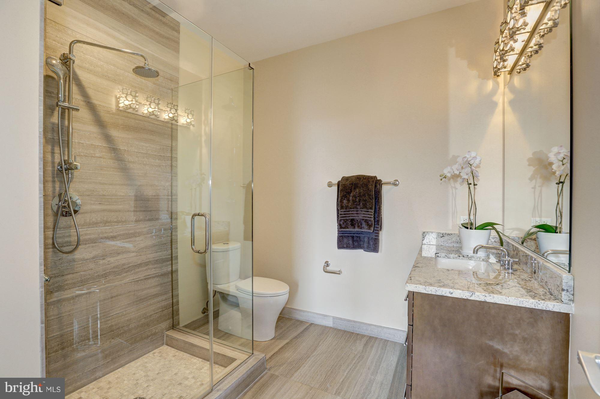 3052 R Street Northwest, Unit 301 Washington, DC 20007 - Photo 24 of 30 a bathroom with a granite countertop sink a toilet and shower