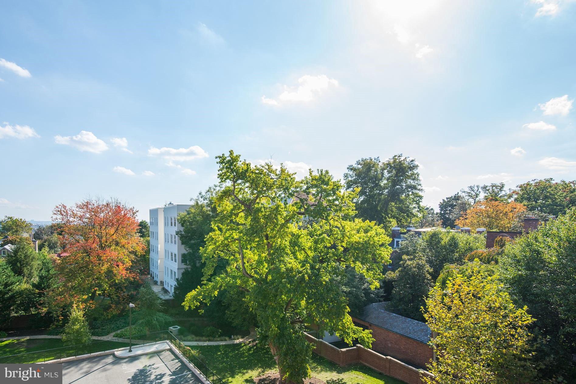 3052 R Street Northwest, Unit 301 Washington, DC 20007 - Photo 26 of 30 a backyard of a house with lots of green space