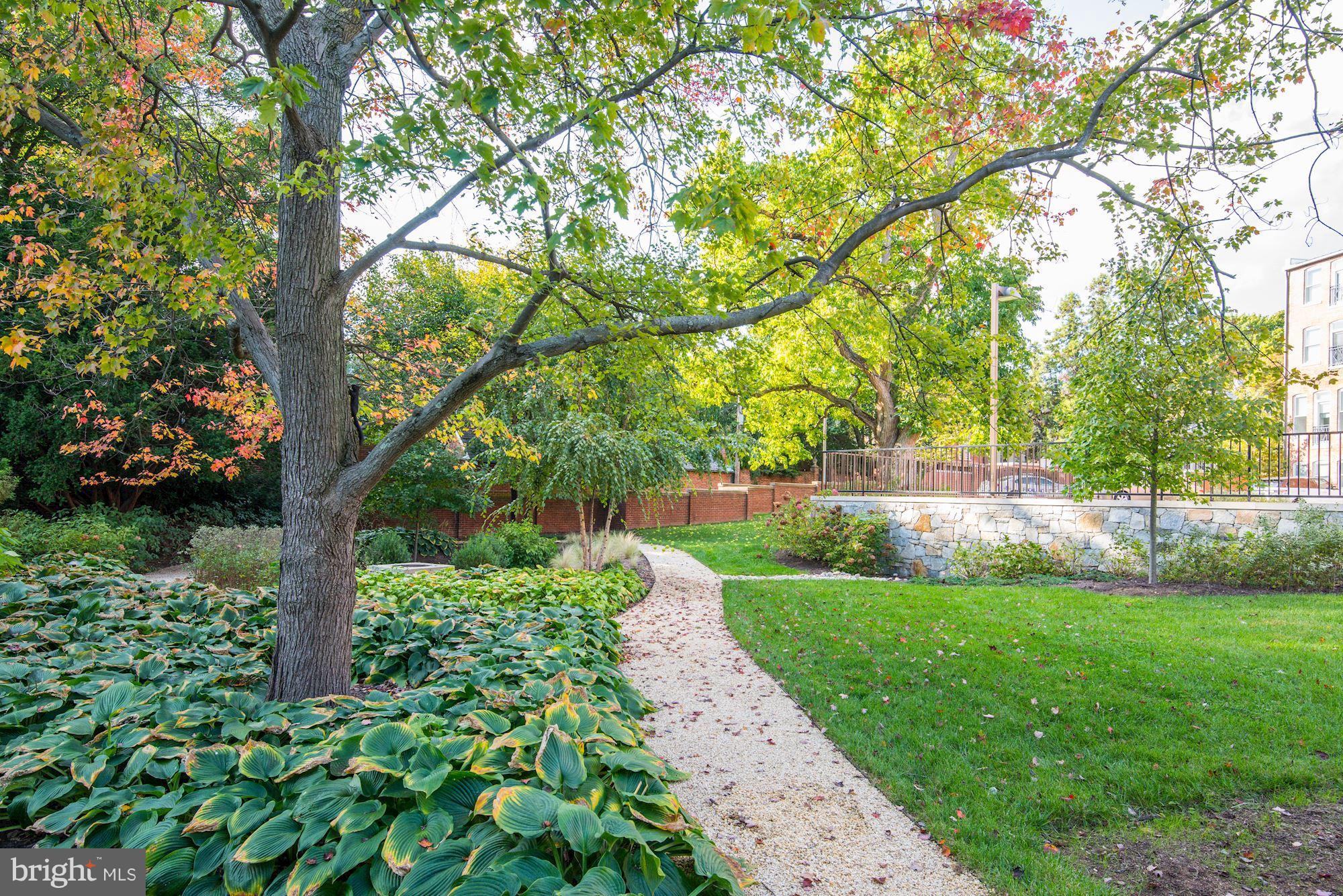 3052 R Street Northwest, Unit 301 Washington, DC 20007 - Photo 27 of 30 a view of a garden with plants
