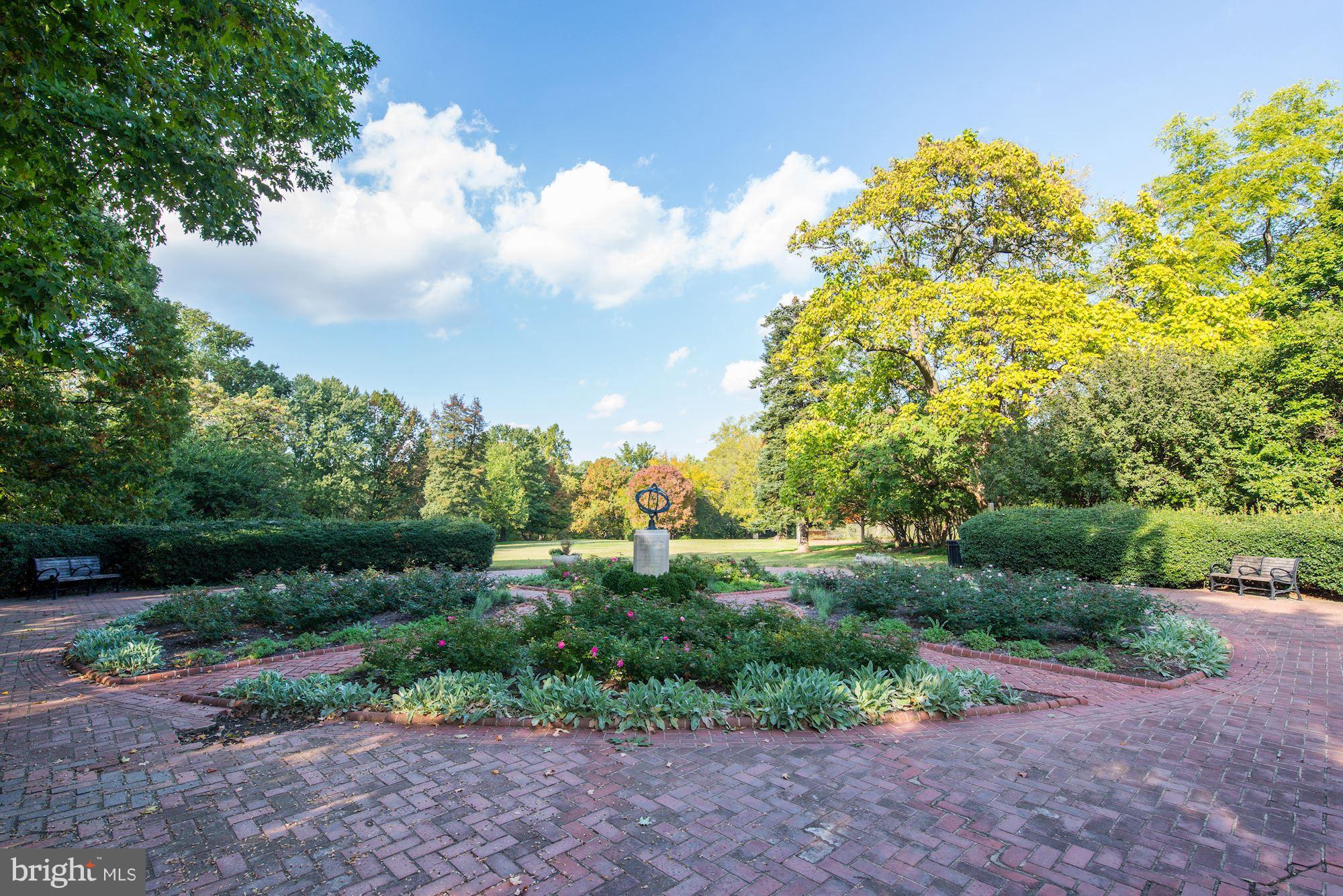 3052 R Street Northwest, Unit 301 Washington, DC 20007 - Photo 28 of 30 a view of a garden with plants and large trees