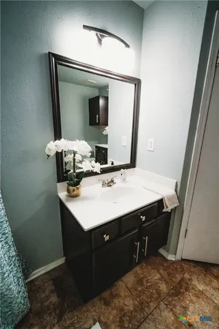 a bathroom with a sink and a mirror