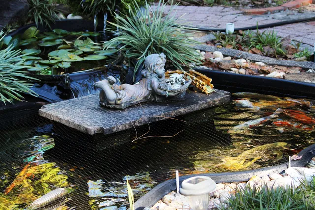 a view of a big yard with large trees