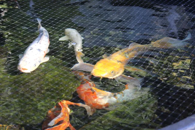 $400,000 | 311 McEwen Drive, Niceville, FL 32578