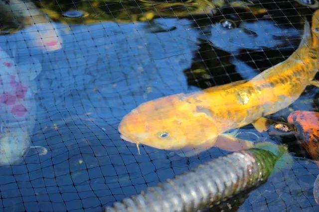 $400,000 | 311 McEwen Drive, Niceville, FL 32578