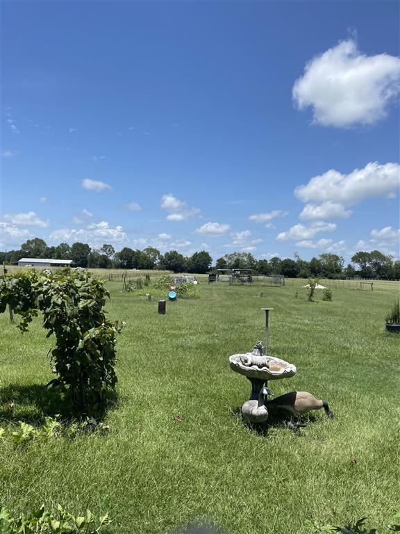 24500 Gillson Road Iowa, LA 70647 - Photo 18 of 23