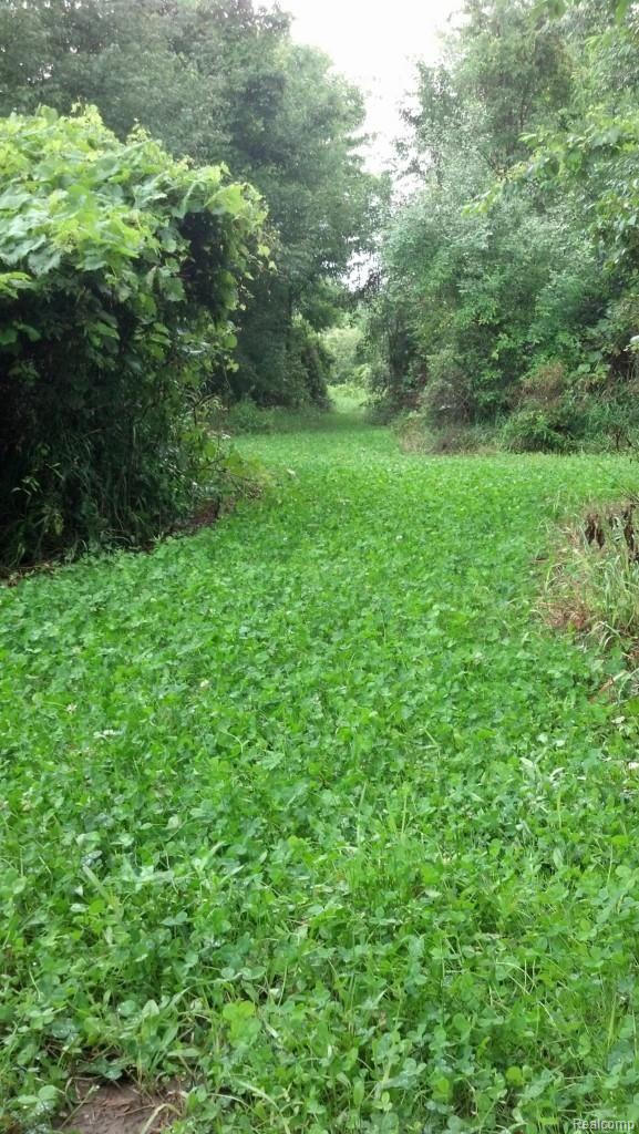 3888 Hogback Road Fowlerville, MI 48836 - Photo 18 of 21 IMG_20130801_171940_289.jpg