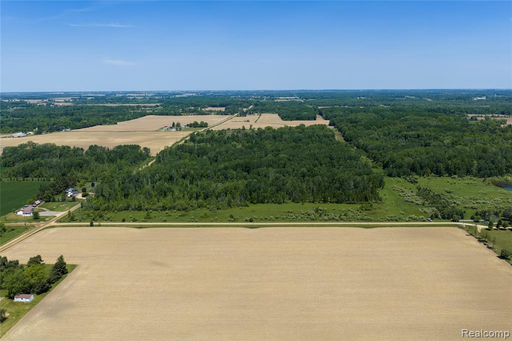 Parcel C Freiburger Road Snover, MI 48472 - Photo 6 of 6