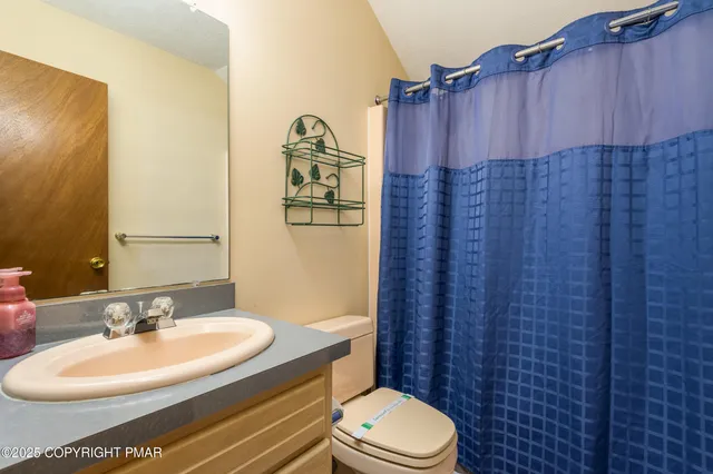 a bathroom with a sink a toilet and shower curtain