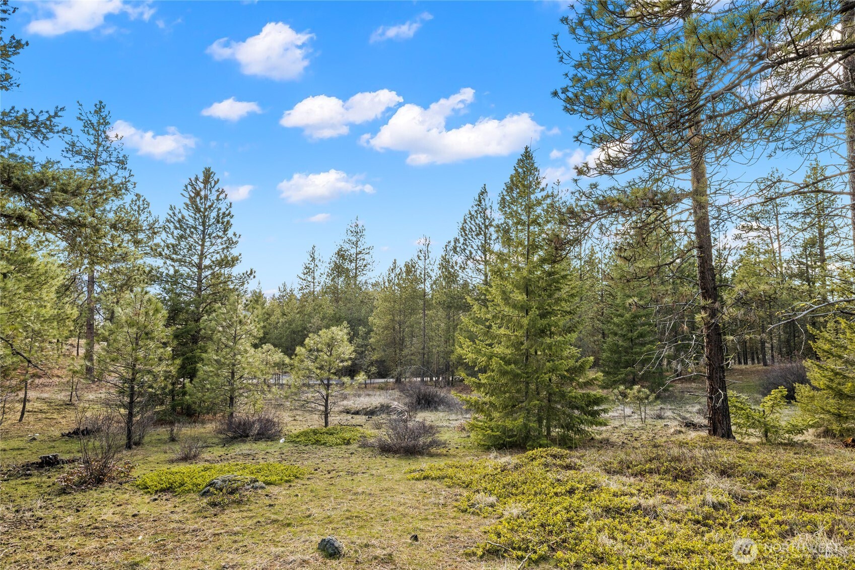 676 Forest Ridge Drive Cle Elum, WA 98922 - Photo 5 of 23 Gallery Image 5
