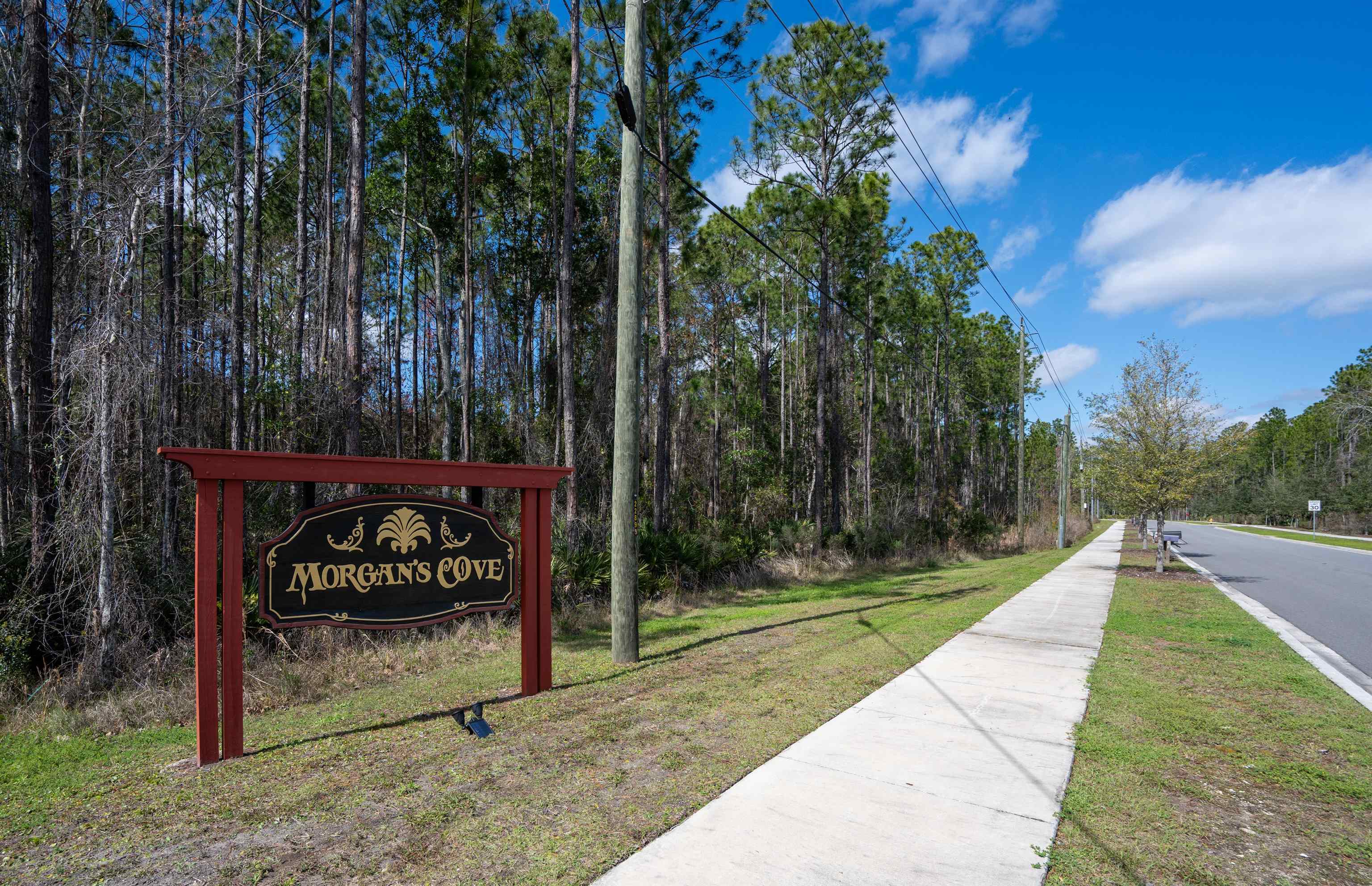 408 Falcon Ridge Road St. Augustine, FL 32084 - Photo 3 of 26 a view of a bench in a yard