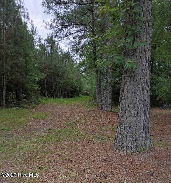 0 Maules Point Road Blounts Creek, NC 27814 - Photo 4 of 7 007