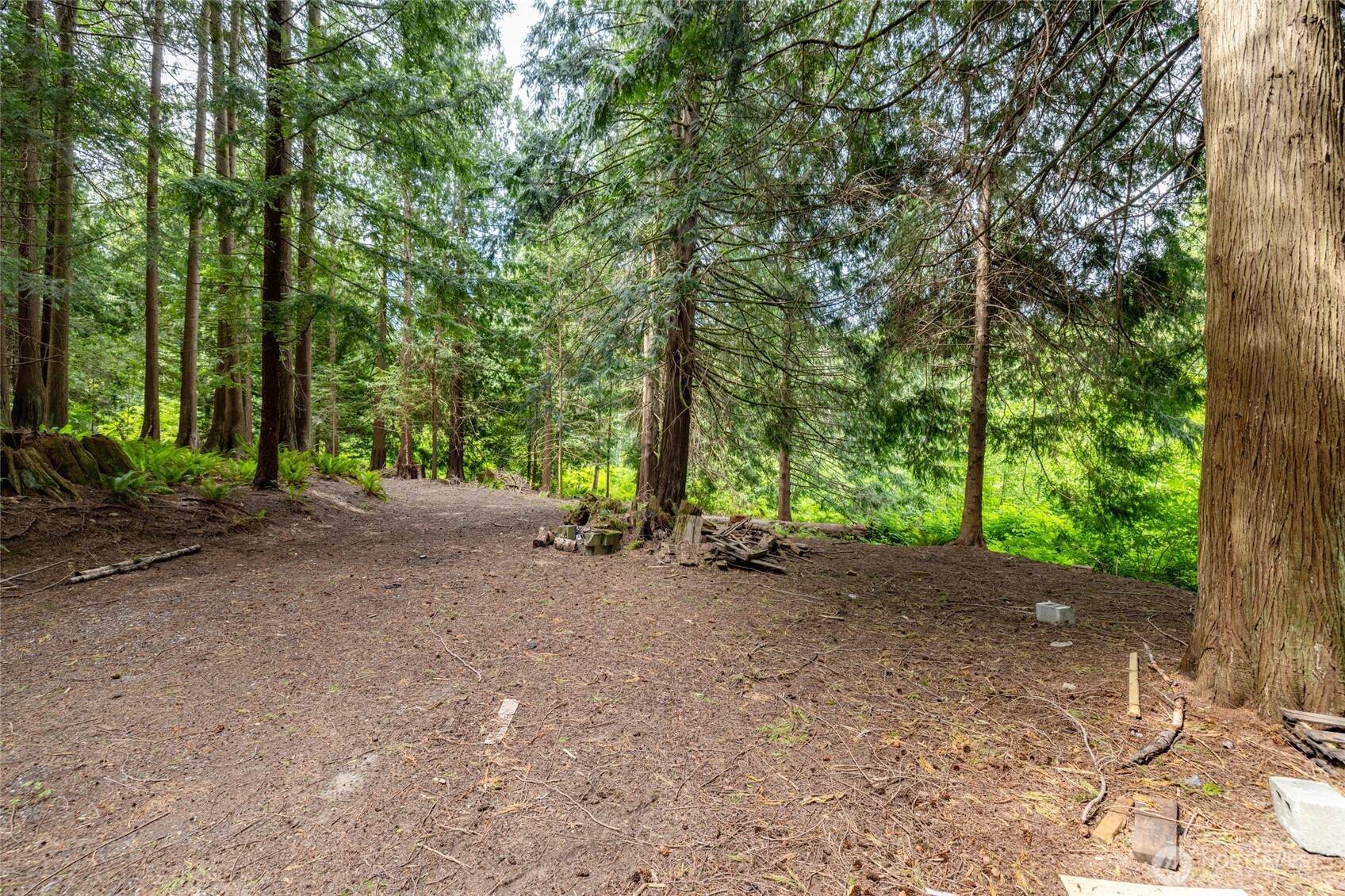 25368 Old Day Creek Road Sedro-Woolley, WA 98284 - Photo 36 of 40