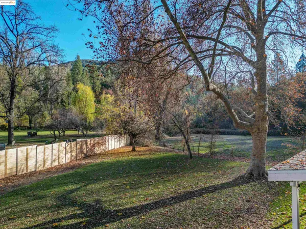 a view of a park with large trees