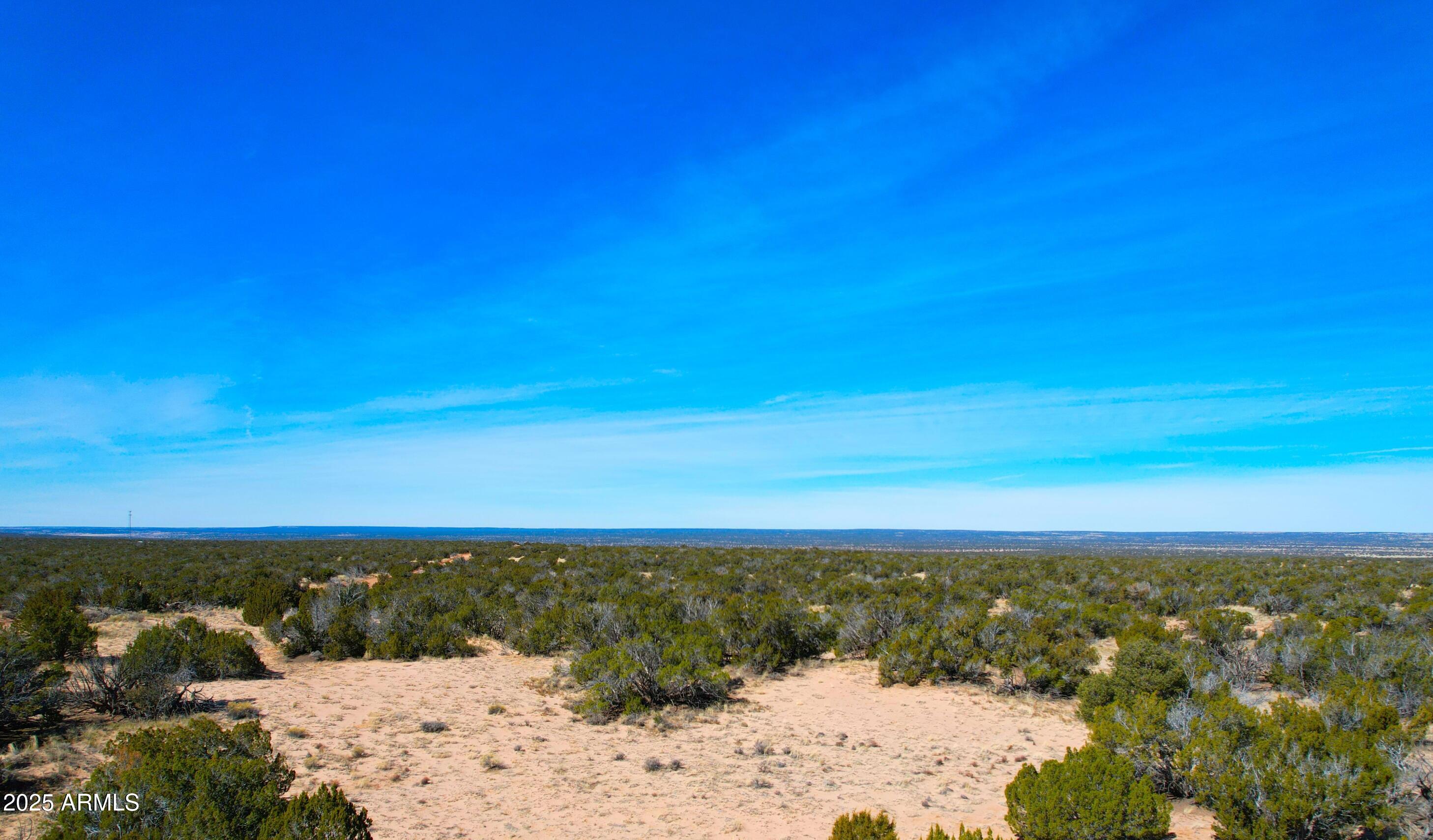 84 County Road St. Johns, AZ 85936 - Photo 11 of 11