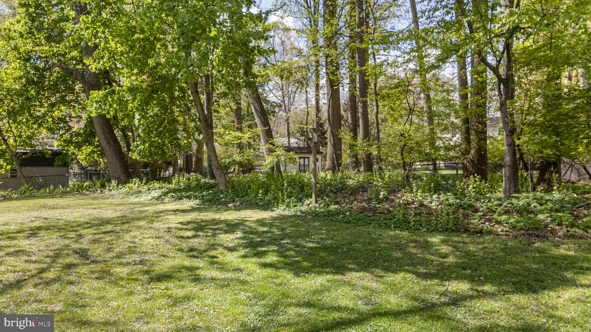 304 Crump Road Exton, PA 19341 - Photo 9 of 30 Lush green oasis in serene woodland.