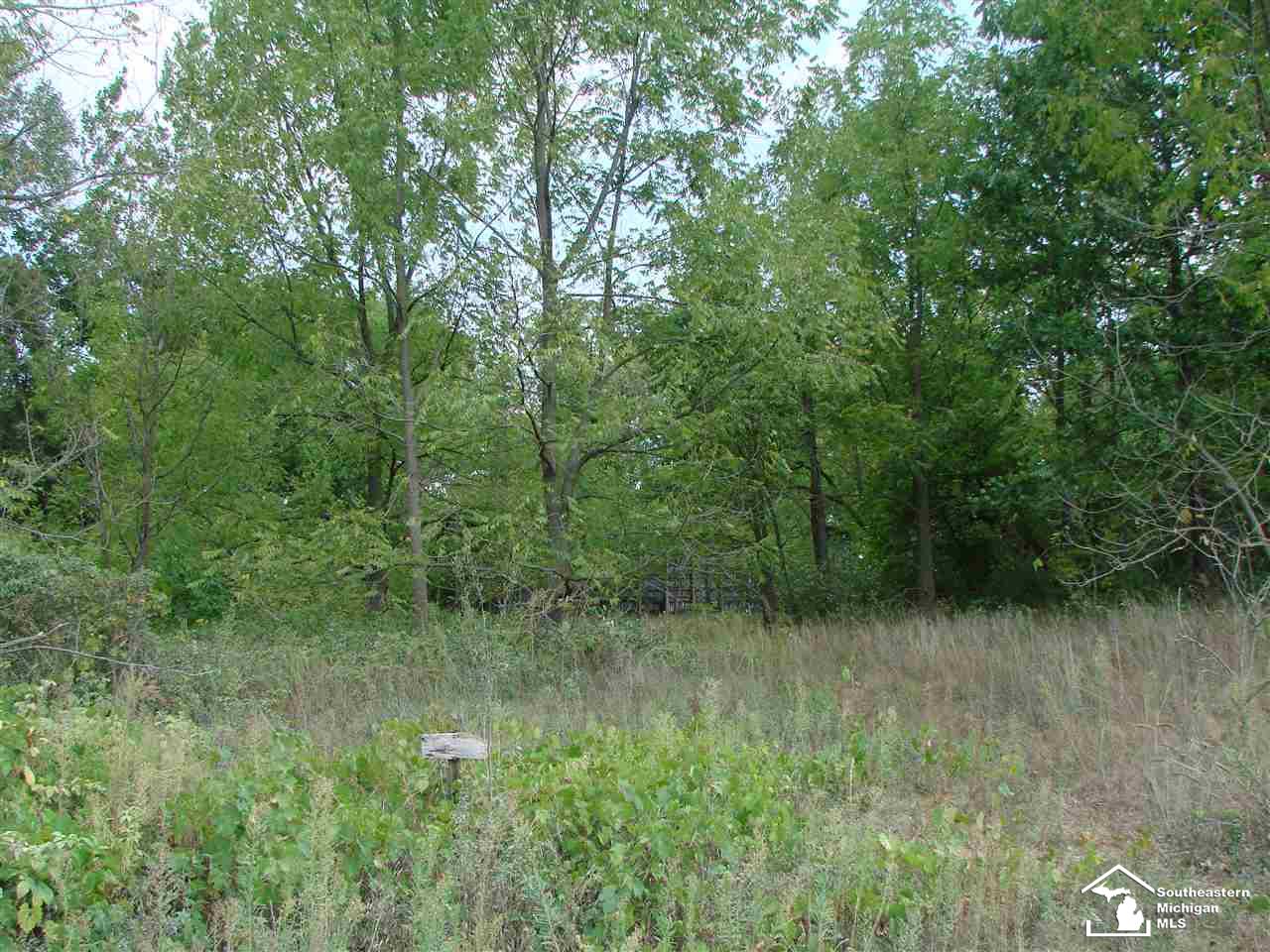 0 Wells Road Petersburg, MI 49270 - Photo 5 of 5