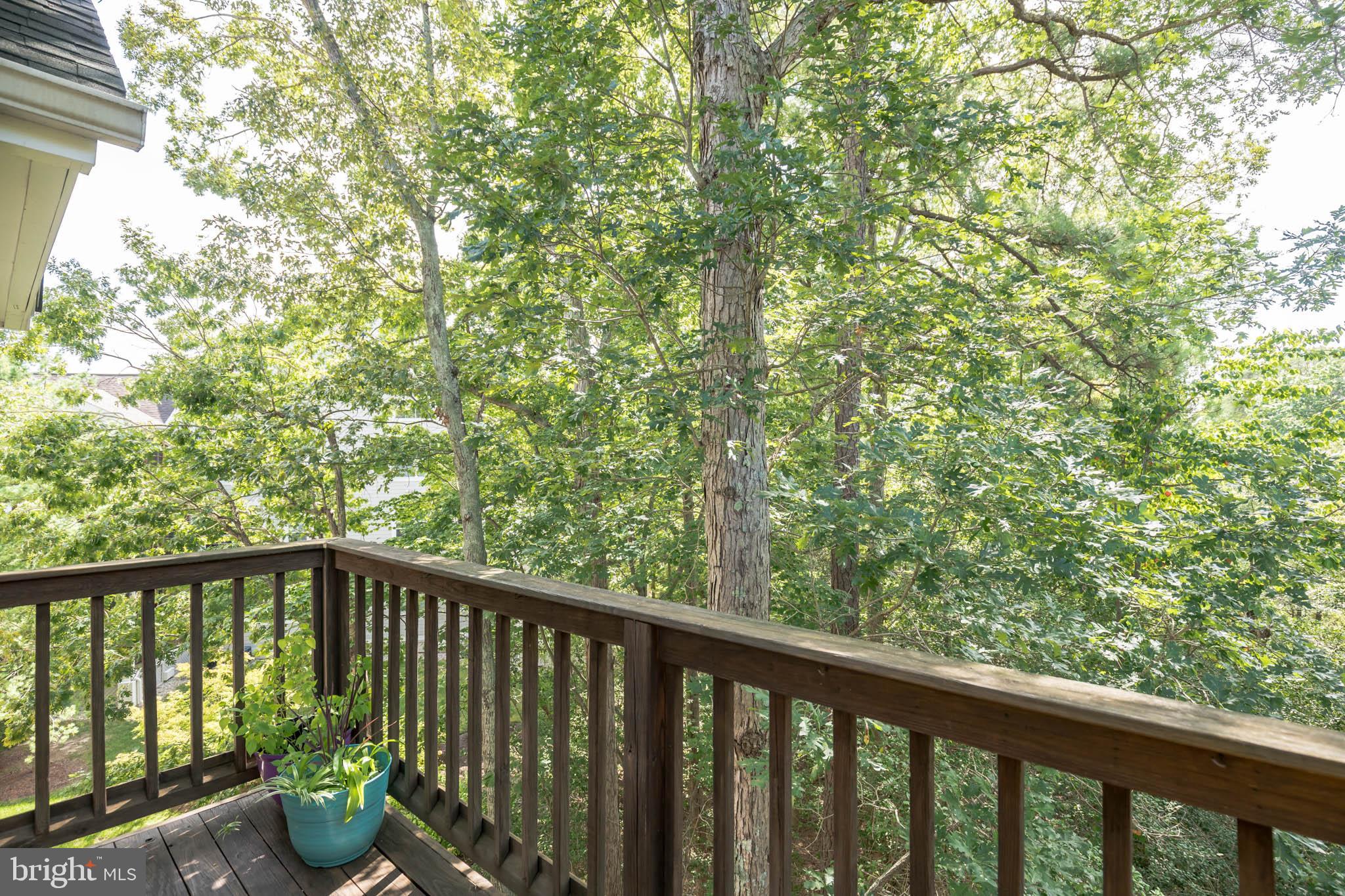 134 Square Rigger Way, Unit 134 Solomons, MD 20688 - Photo 11 of 32 Winter Water view from Deck