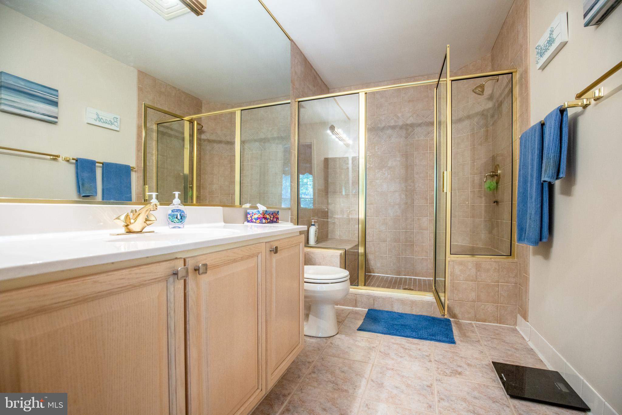 134 Square Rigger Way, Unit 134 Solomons, MD 20688 - Photo 20 of 32 Primary Bathroom, walk-in shower, ceramic tile