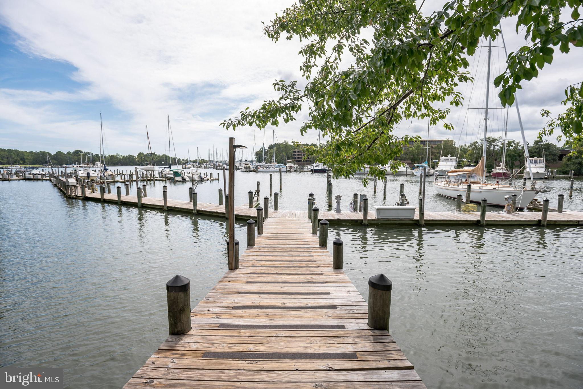 134 Square Rigger Way, Unit 134 Solomons, MD 20688 - Photo 25 of 32 Solomons Landing Private Marina on Back Creek