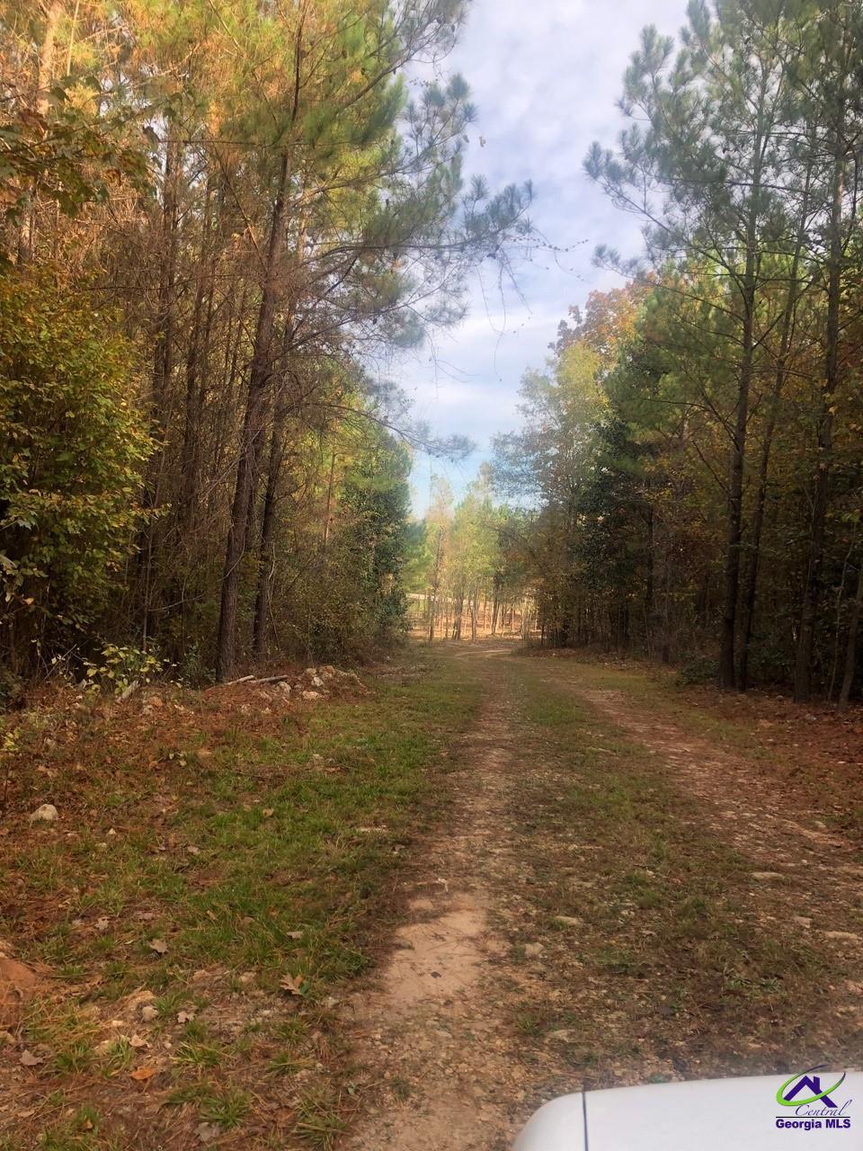 0 County Line Road Elko, GA 31025 - Photo 9 of 12