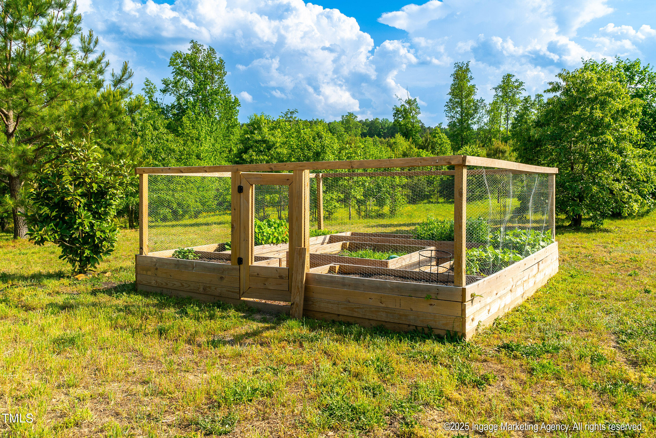 8295 Antioch Church Road Middlesex, NC 27557 - Photo 18 of 78 20250503 MLS S_Nilsen 8295 Antioch Churc