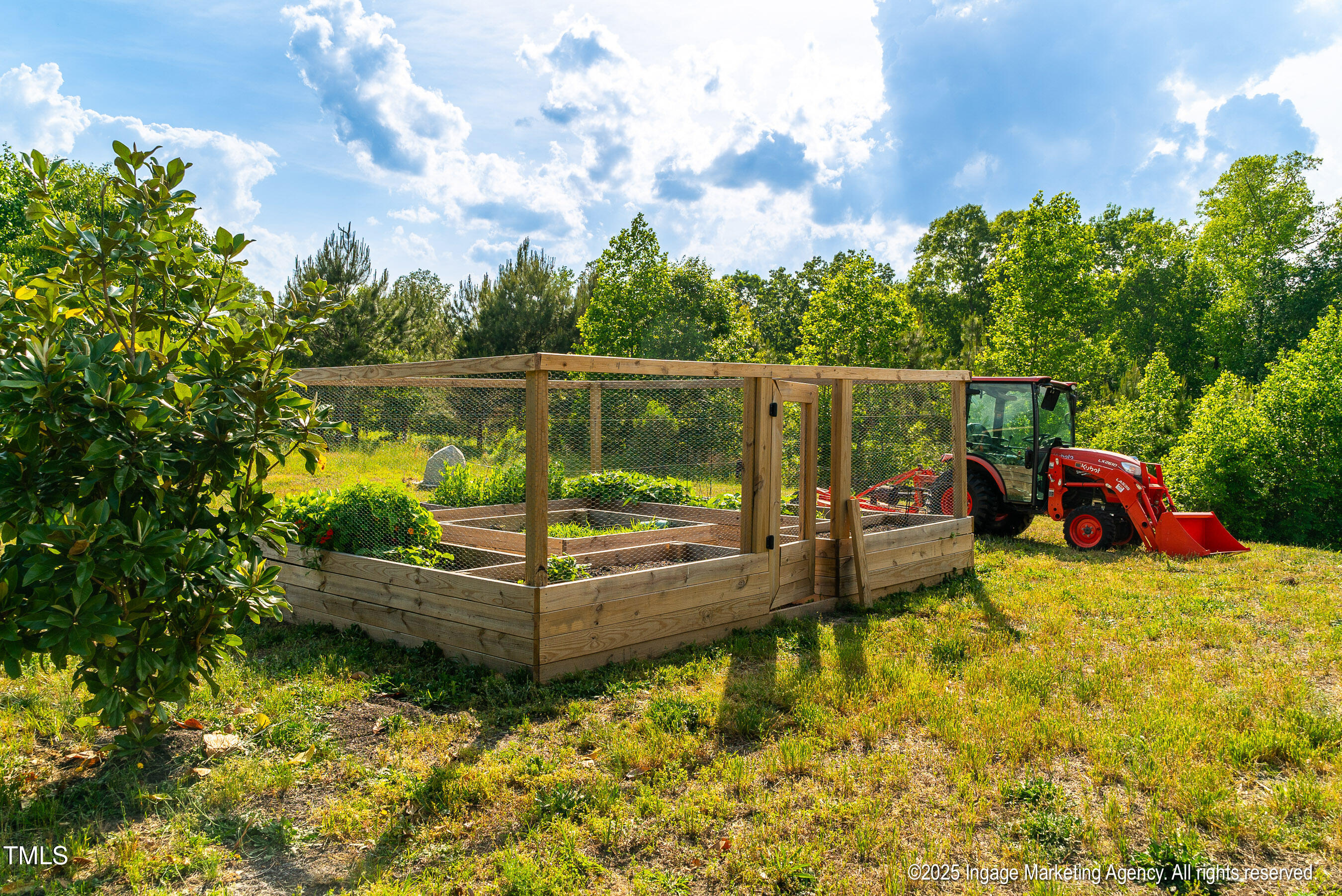8295 Antioch Church Road Middlesex, NC 27557 - Photo 19 of 78 20250503 MLS S_Nilsen 8295 Antioch Churc