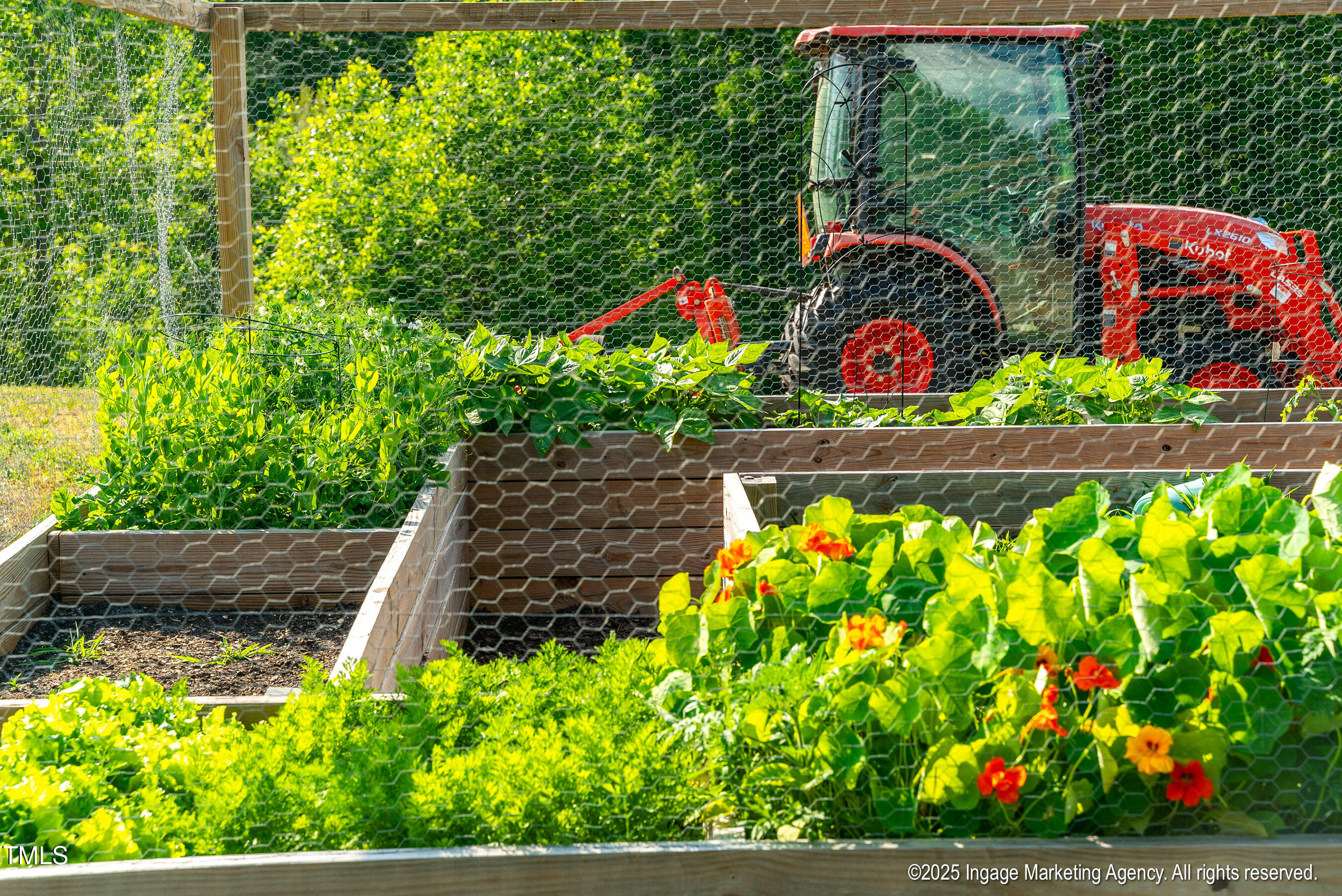 8295 Antioch Church Road Middlesex, NC 27557 - Photo 20 of 78 20250503 MLS S_Nilsen 8295 Antioch Churc