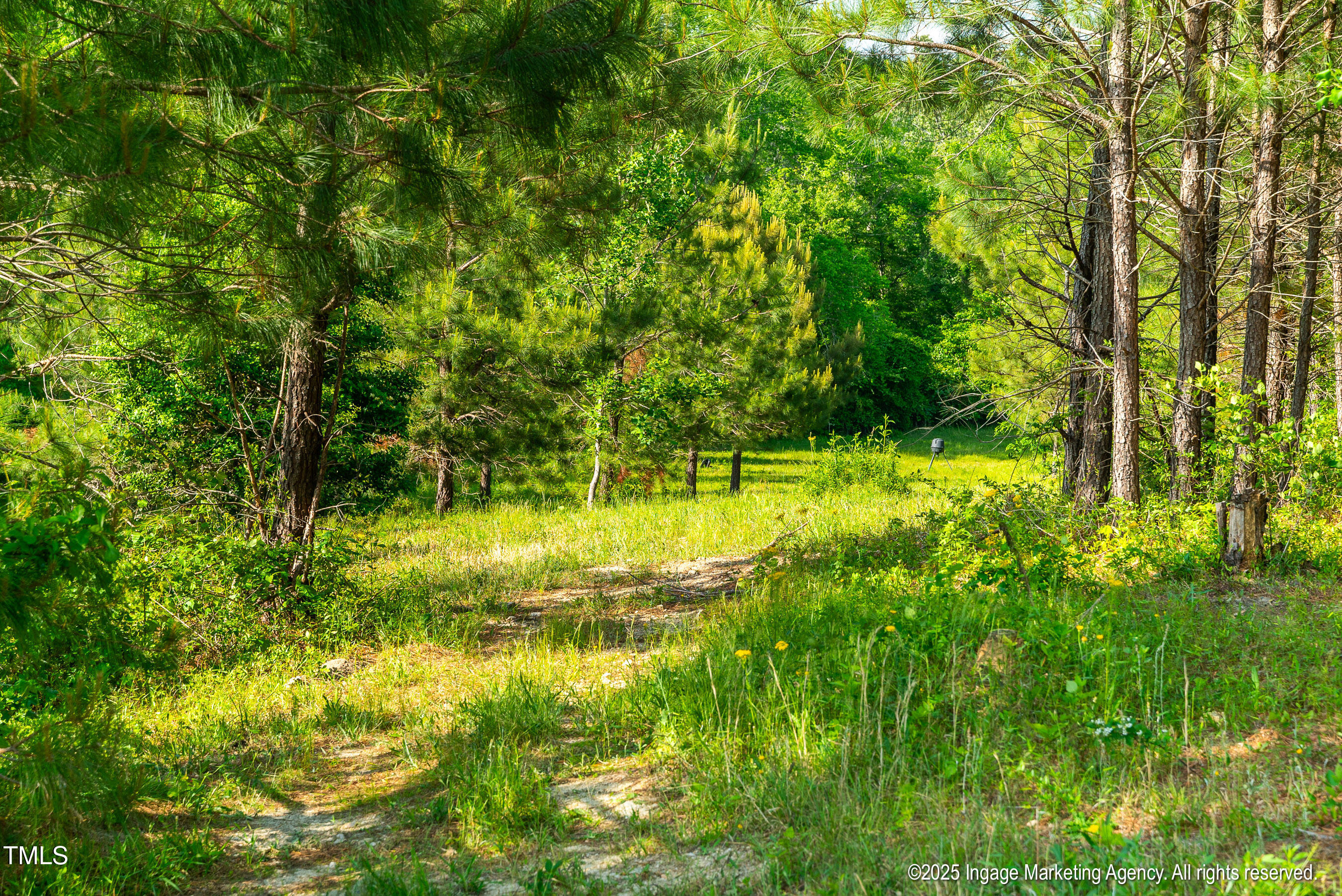 8295 Antioch Church Road Middlesex, NC 27557 - Photo 22 of 78 20250503 MLS S_Nilsen 8295 Antioch Churc