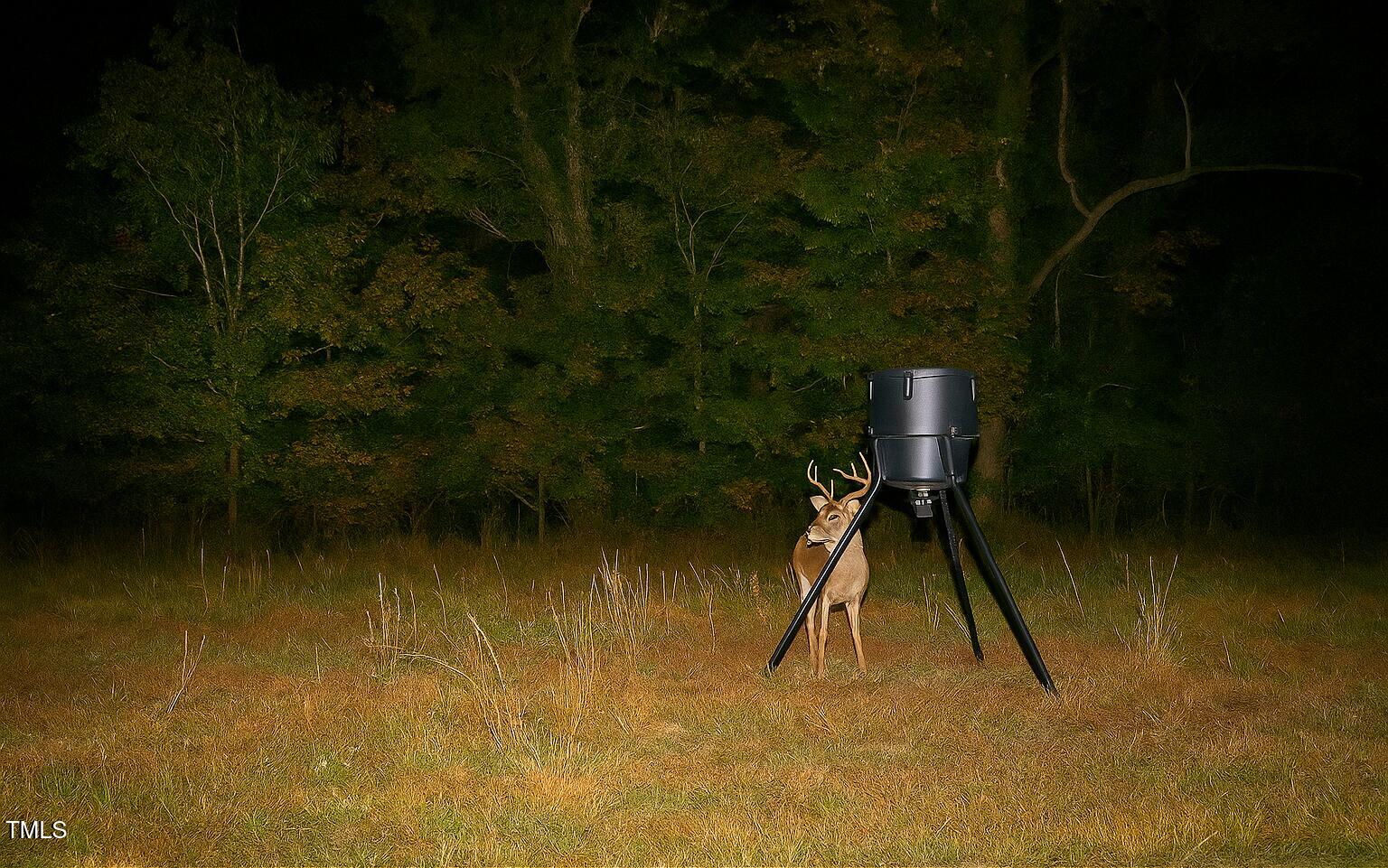 8295 Antioch Church Road Middlesex, NC 27557 - Photo 23 of 78 IMG_7302