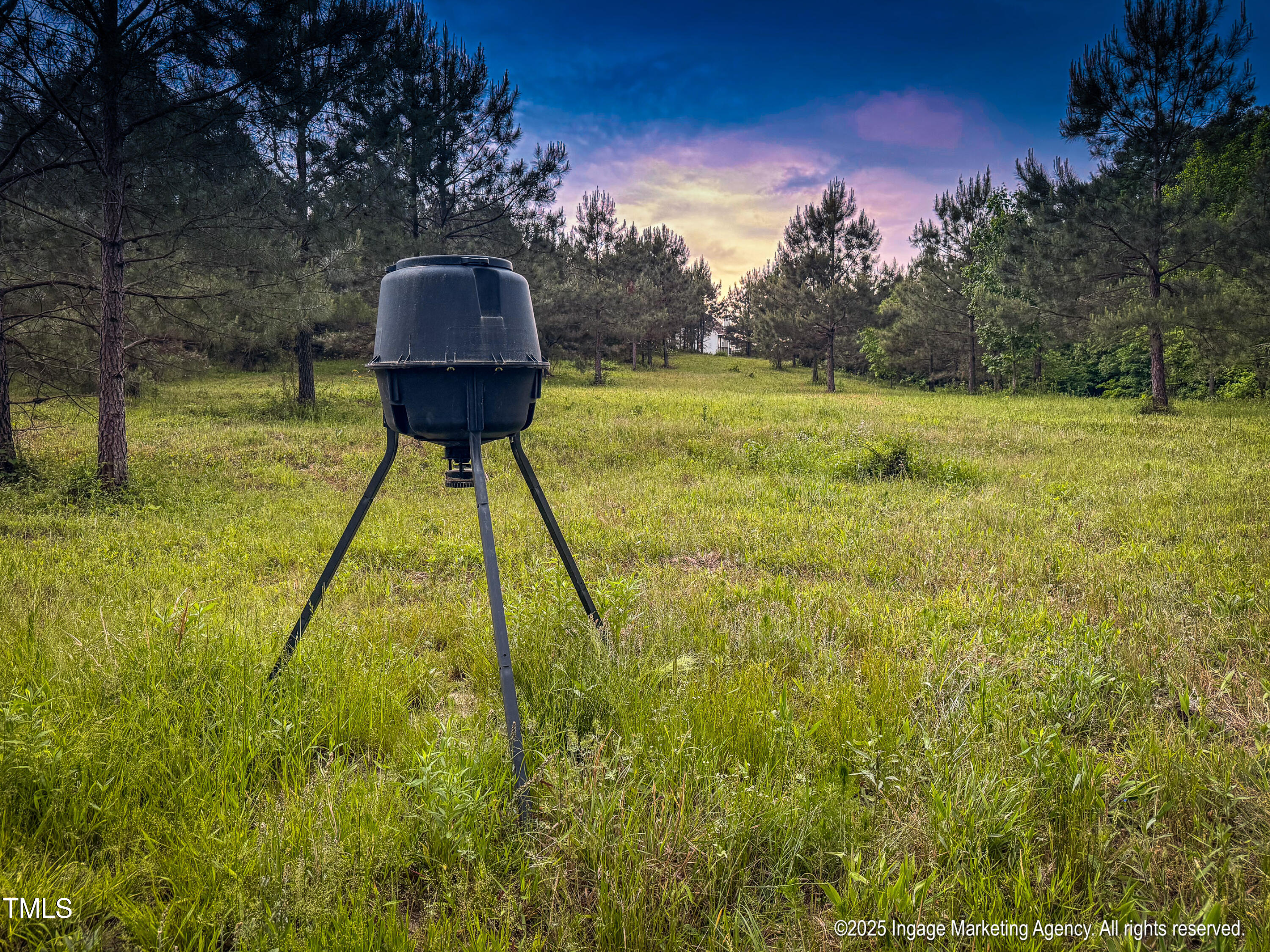 8295 Antioch Church Road Middlesex, NC 27557 - Photo 24 of 78 20250503 MLS S_Nilsen 8295 Antioch Churc
