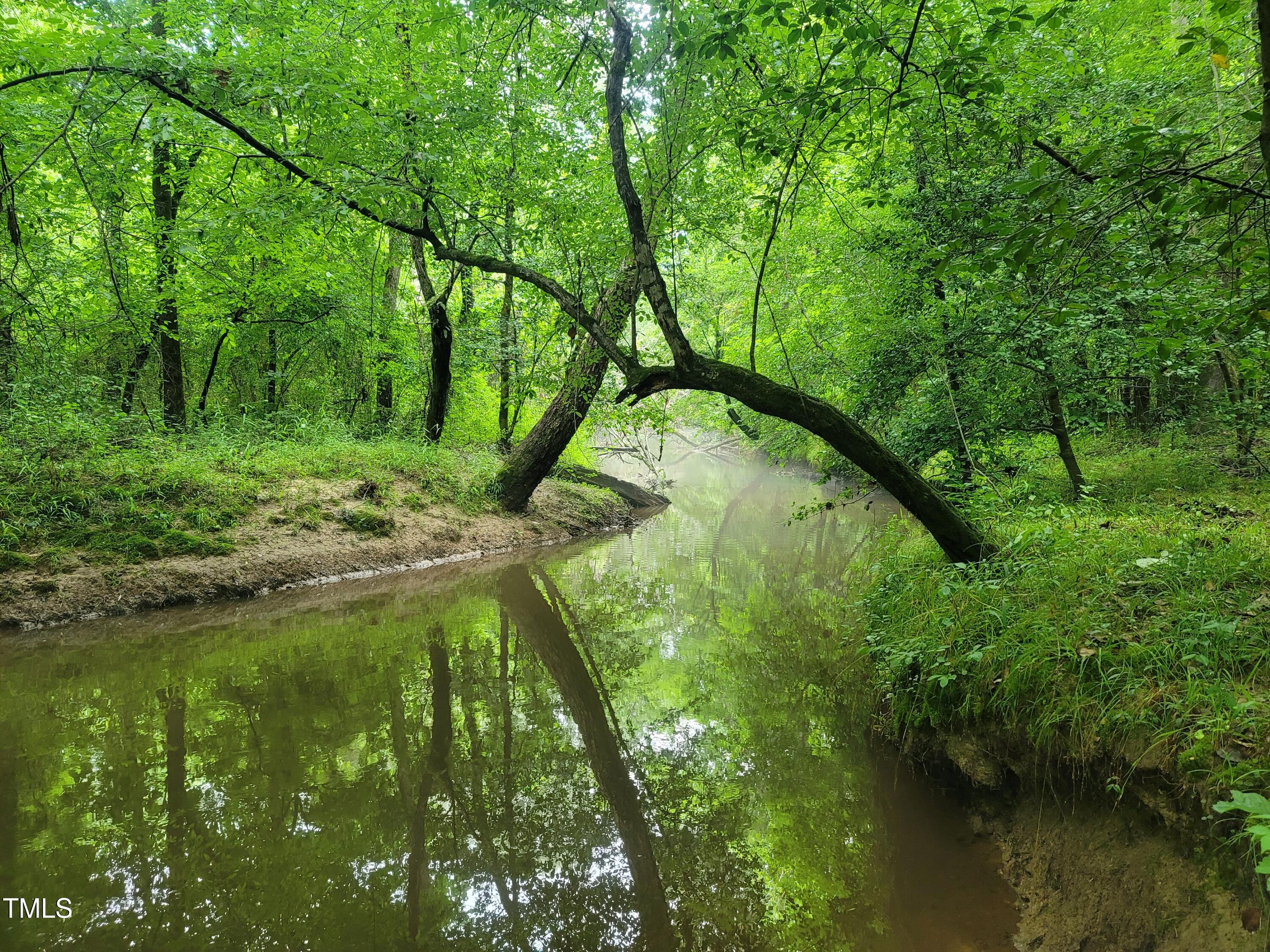 8295 Antioch Church Road Middlesex, NC 27557 - Photo 69 of 78 20210605_124653