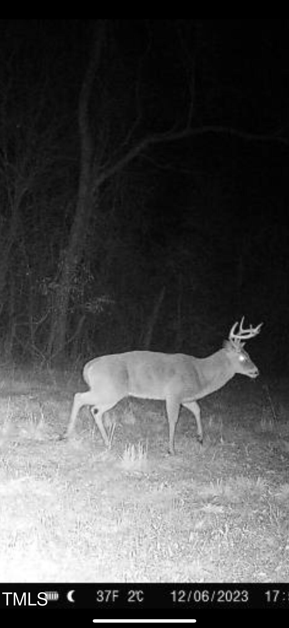 8295 Antioch Church Road Middlesex, NC 27557 - Photo 70 of 78 65C2E669-0BEA-4D14-918B-EA5C58CFA13A