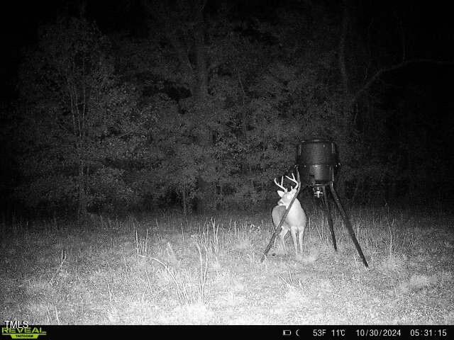 8295 Antioch Church Road Middlesex, NC 27557 - Photo 71 of 78 4D63ADD8-52D6-4323-B0D7-B25E74C5F342