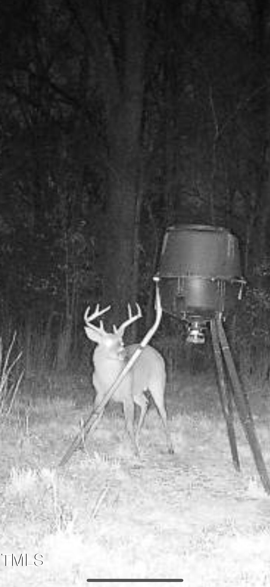 8295 Antioch Church Road Middlesex, NC 27557 - Photo 72 of 78 CE67051B-6FB4-4091-A111-33152EDCEB53