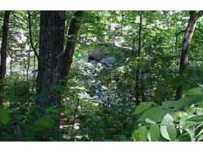 17 Christopher Road Merrimack, NH 03054 - Photo 1 of 1