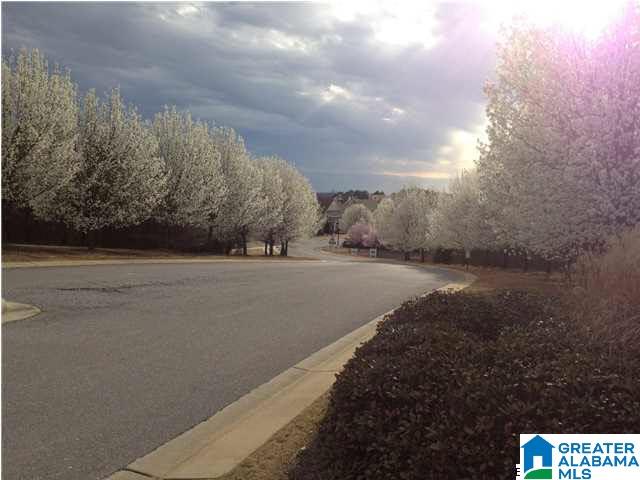 460 Sherwood Circle Calera, AL 35040 - Photo 2 of 43