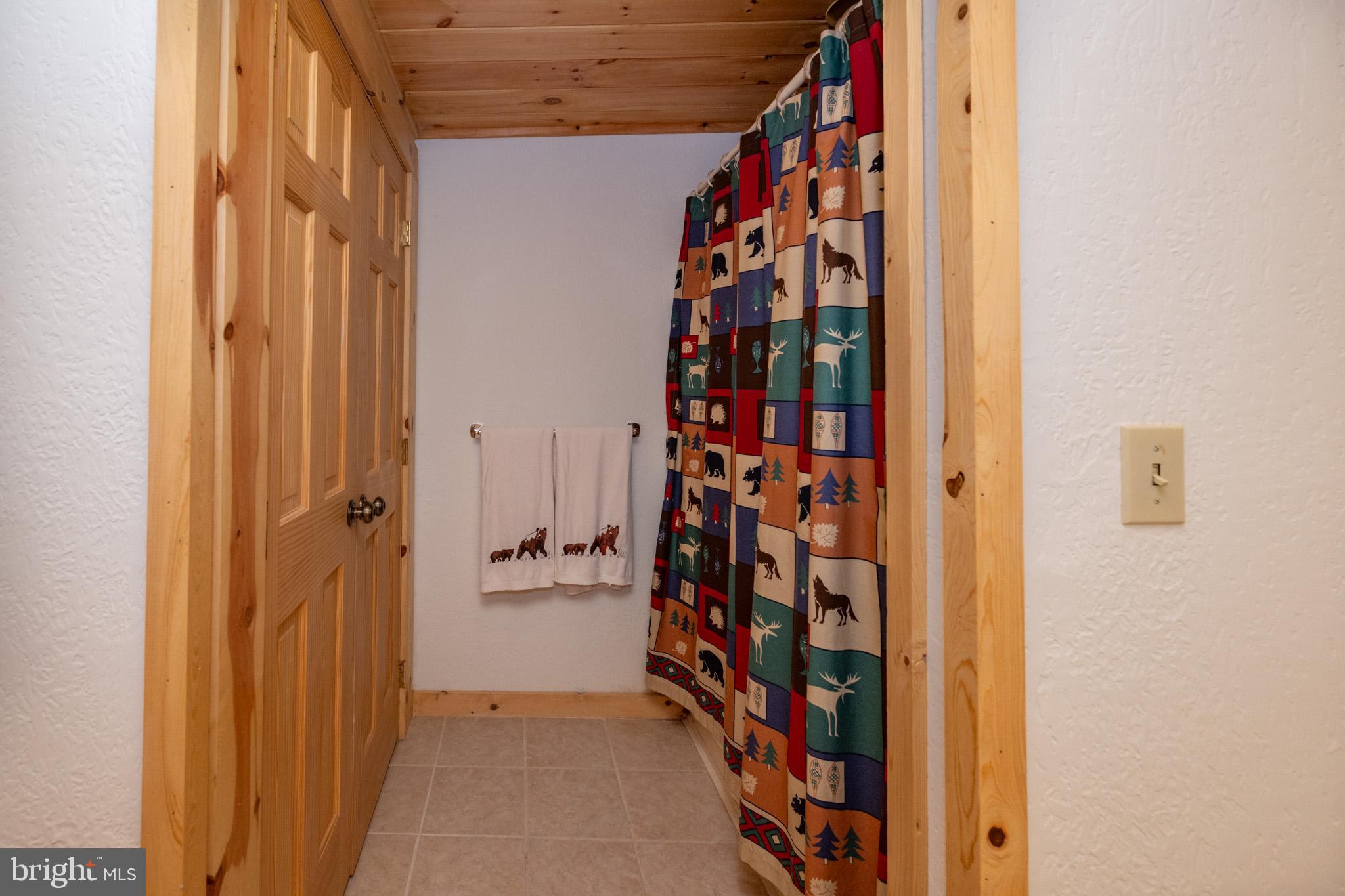 554 State Park Road Swanton, MD 21561 - Photo 48 of 70