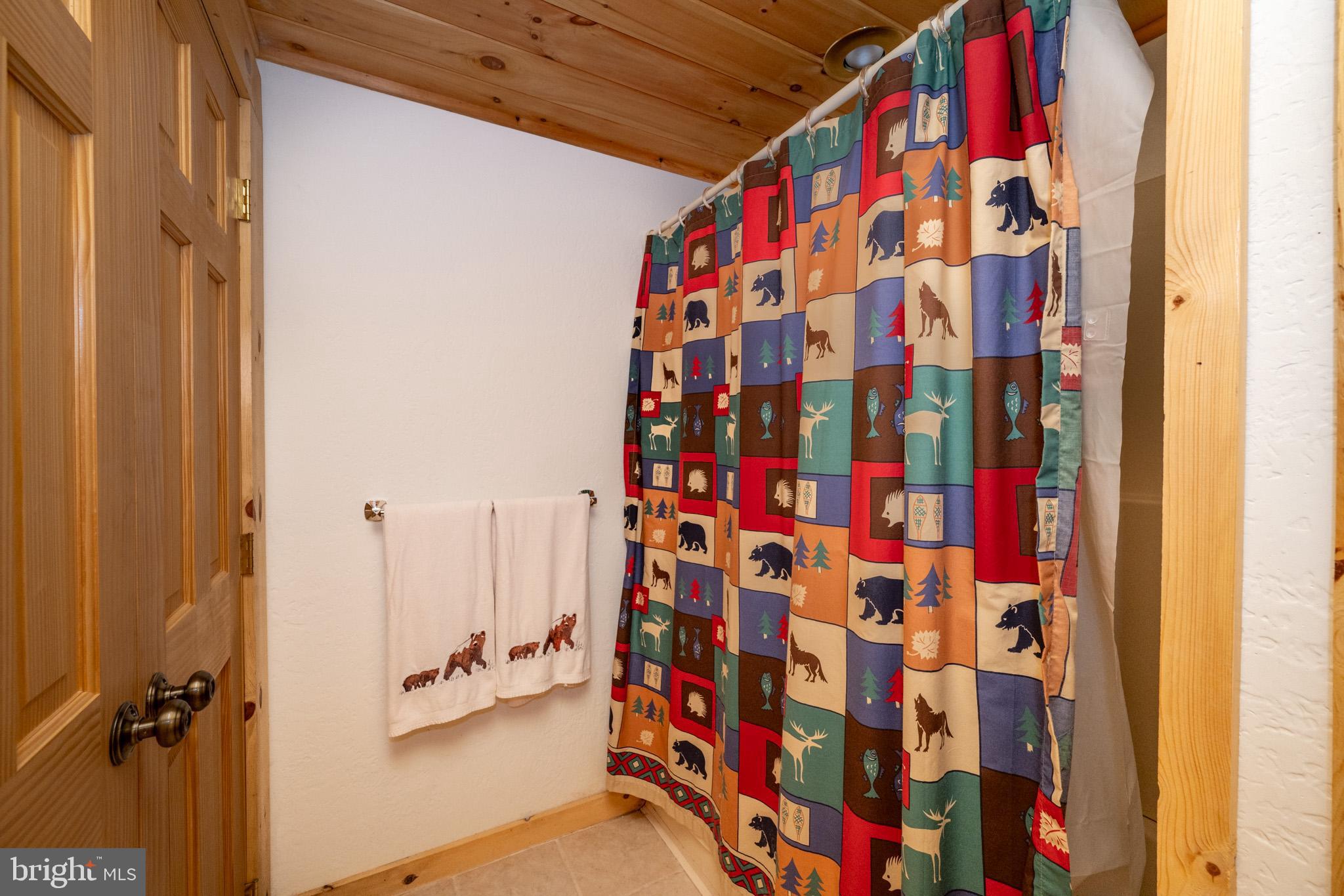 554 State Park Road Swanton, MD 21561 - Photo 50 of 70