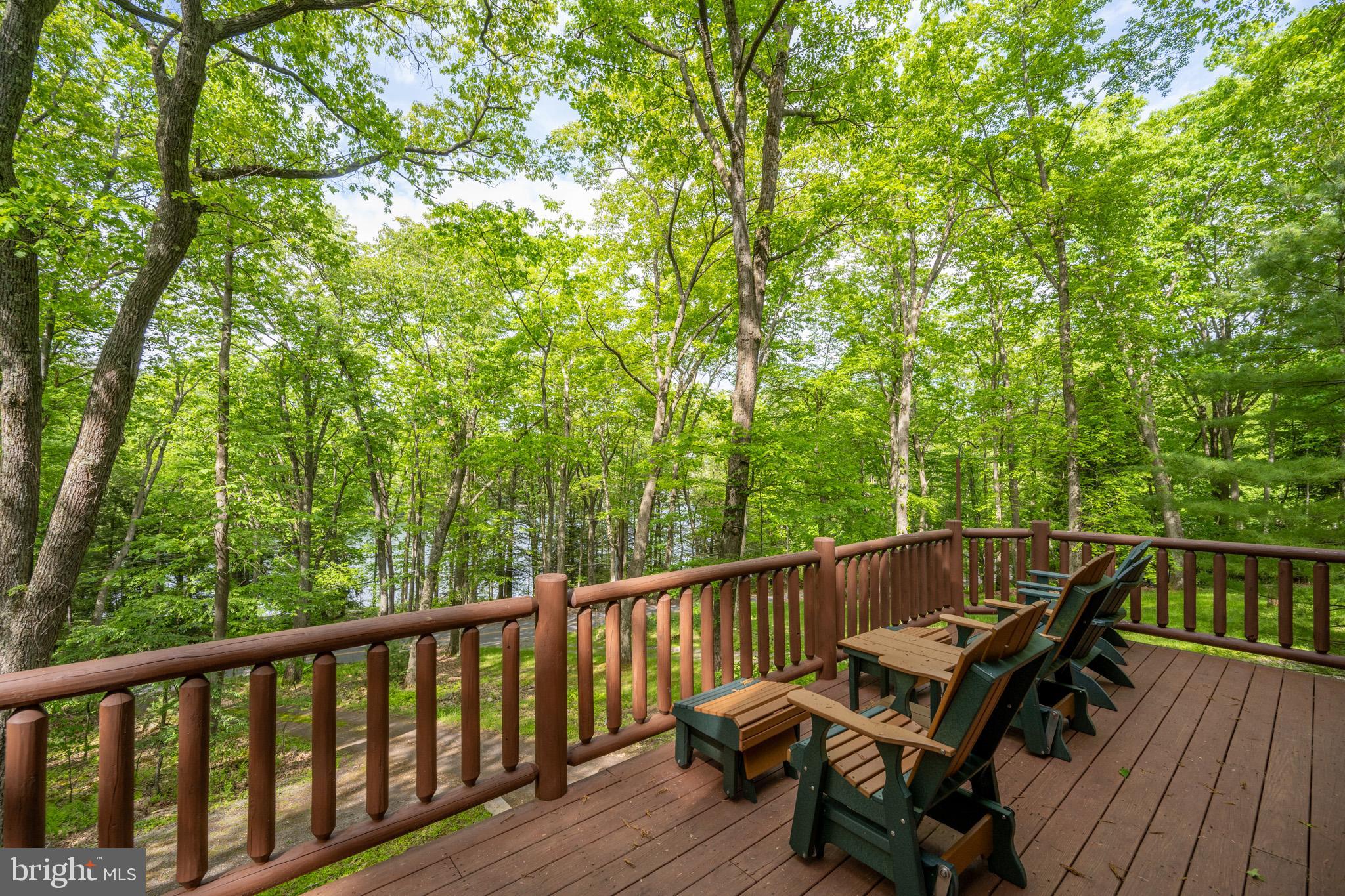 554 State Park Road Swanton, MD 21561 - Photo 9 of 70