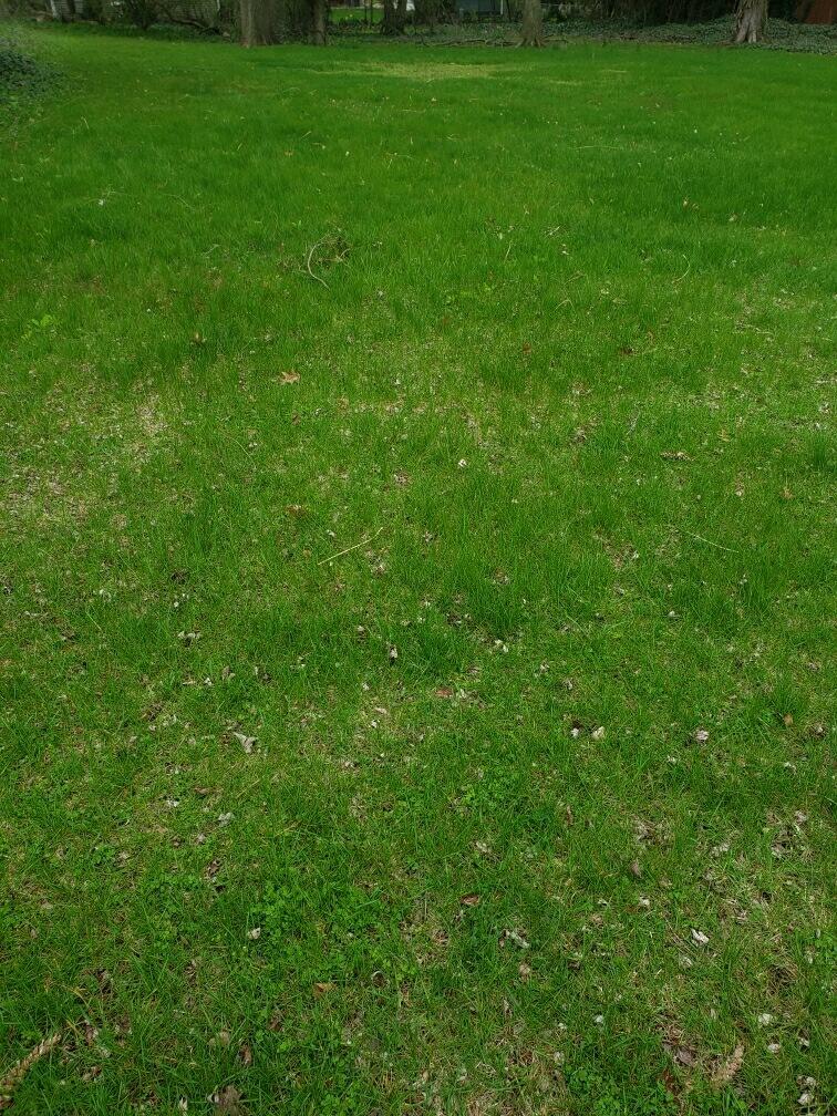 6299 Comiskey Road Stevensville, MI 49127 - Photo 2 of 2 imagejpeg-0