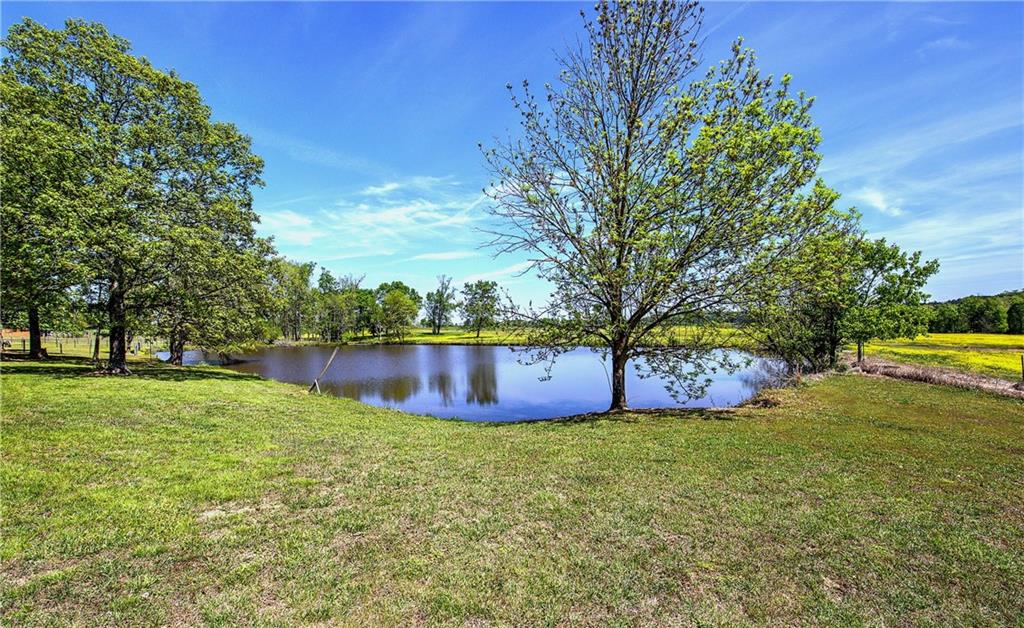 486 County Line Road Resaca, GA 30735 - Photo 9 of 33 a view of a swimming pool with a yard