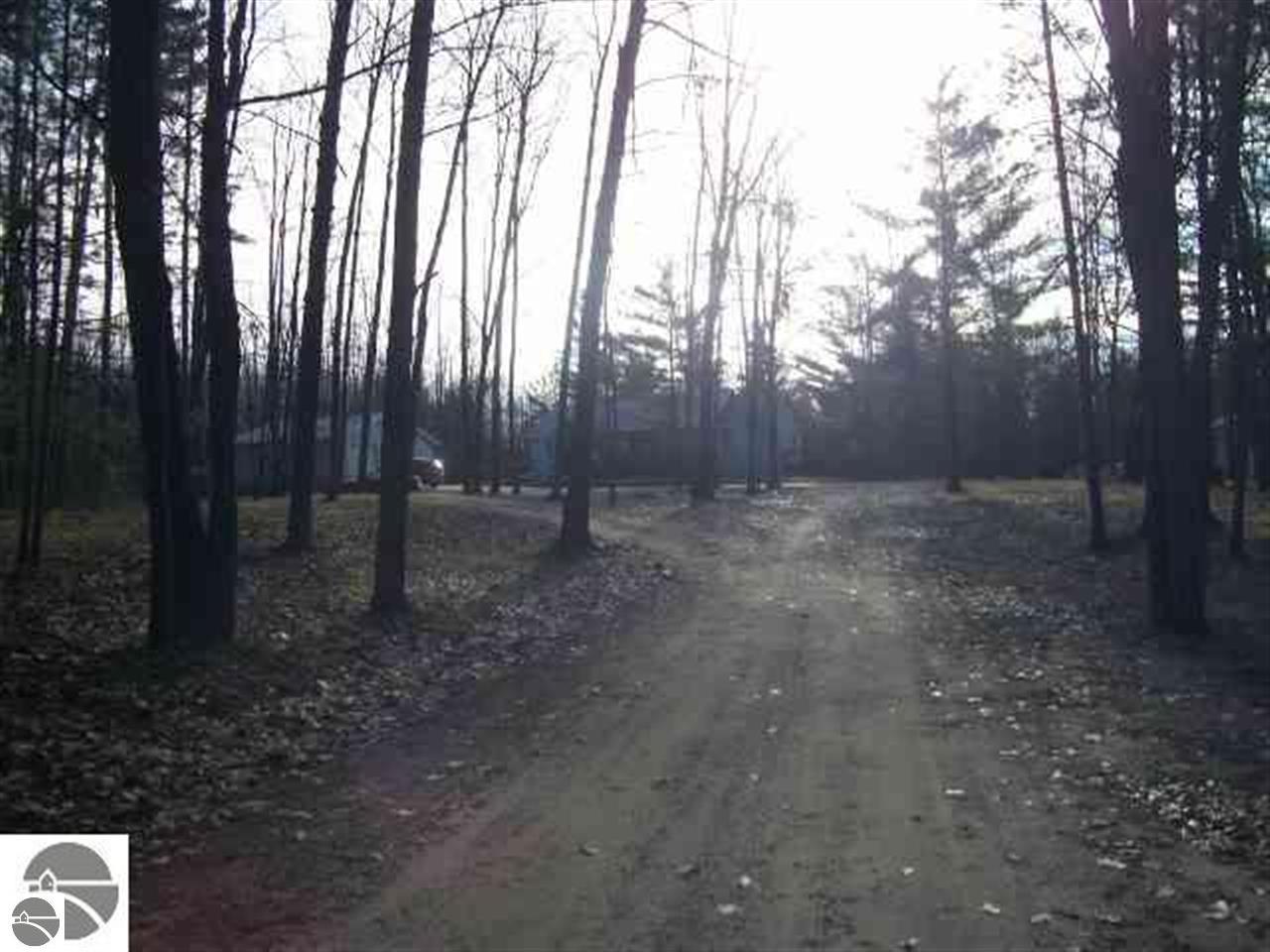 10885 Grand Kal Road Fife Lake, MI 49633 - Photo 15 of 15 1749407-17.JPG