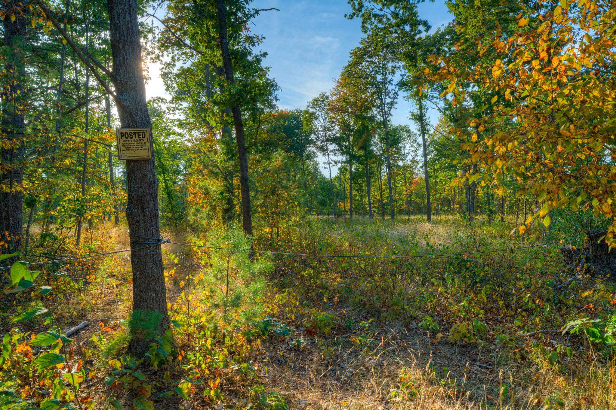 755 North Carmean Road Interlochen, MI 49643 - Photo 36 of 65