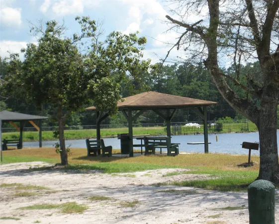a view of a park with large trees