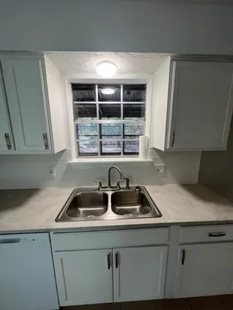 a kitchen with a sink a counter space and cabinets