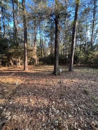 a view of outdoor space with deck and tree