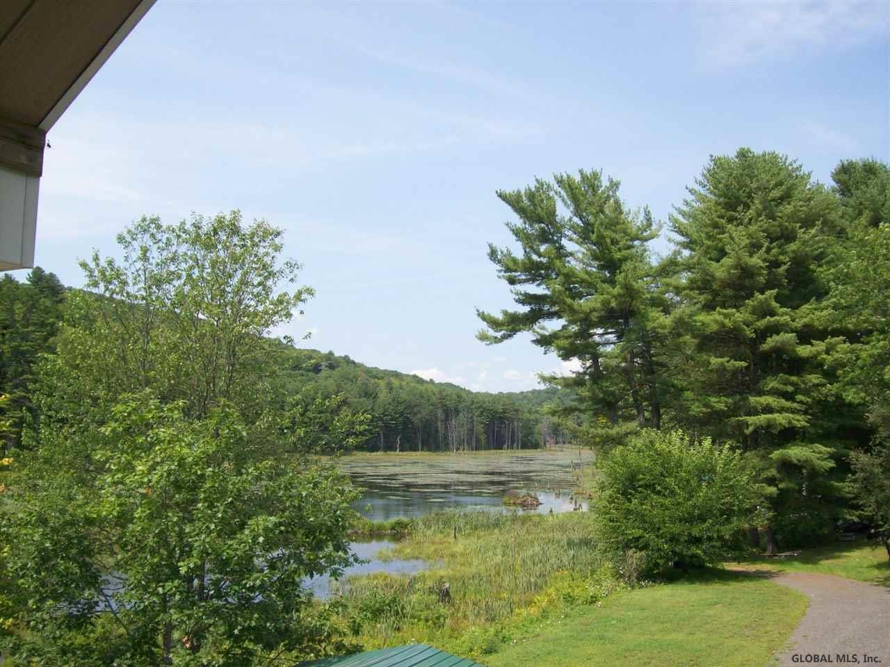 239 Antone Mountain Road Corinth, NY 12822 - Photo 18 of 20 Photo 18