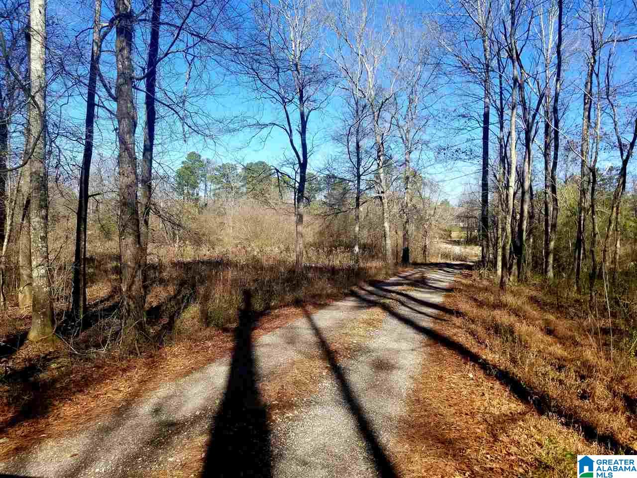 11640 Bear Creek Road Vandiver, AL 35176 - Photo 8 of 10