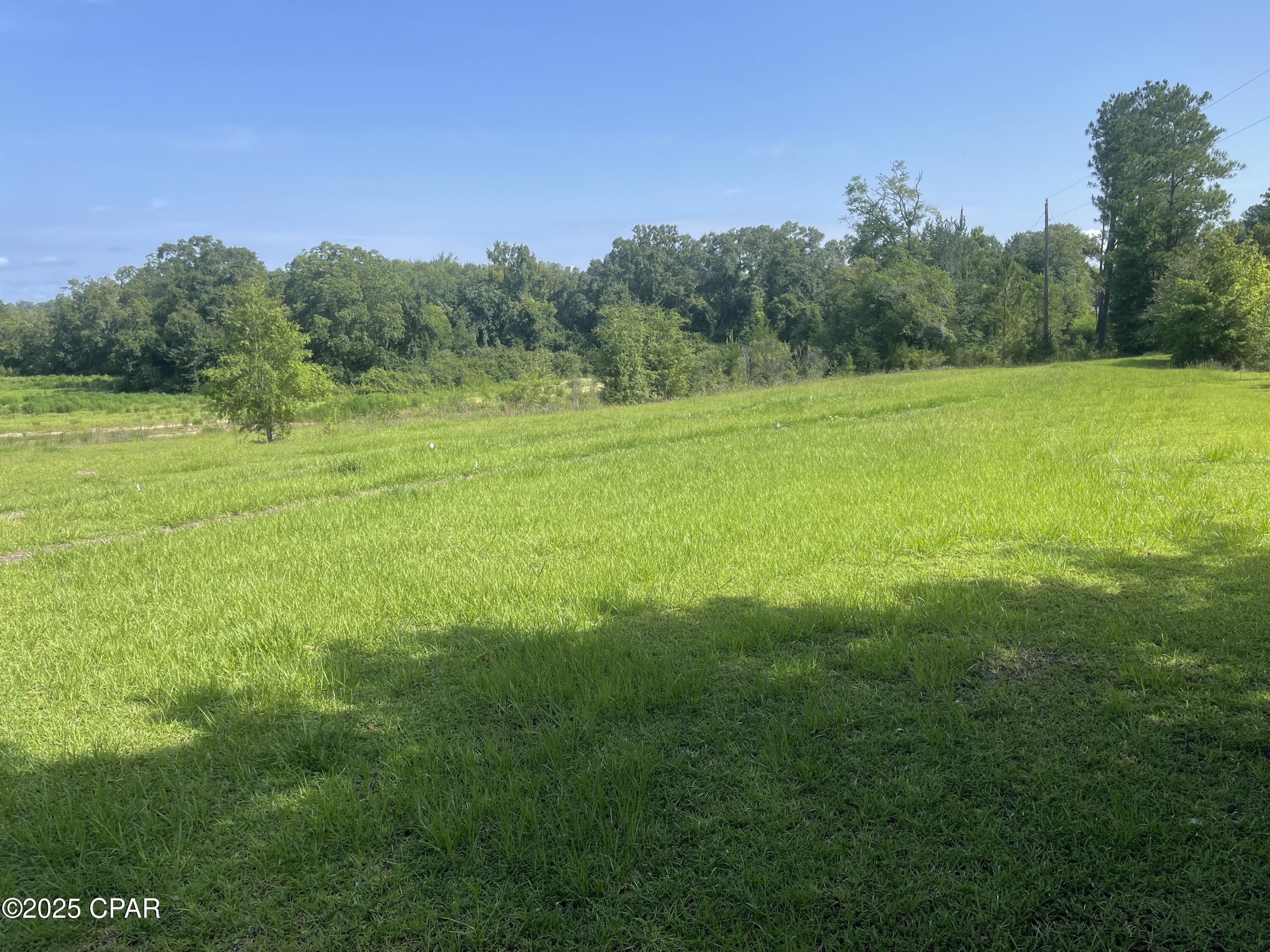 0 North Holmes Creek Road Graceville, FL 32440 - Photo 1 of 16