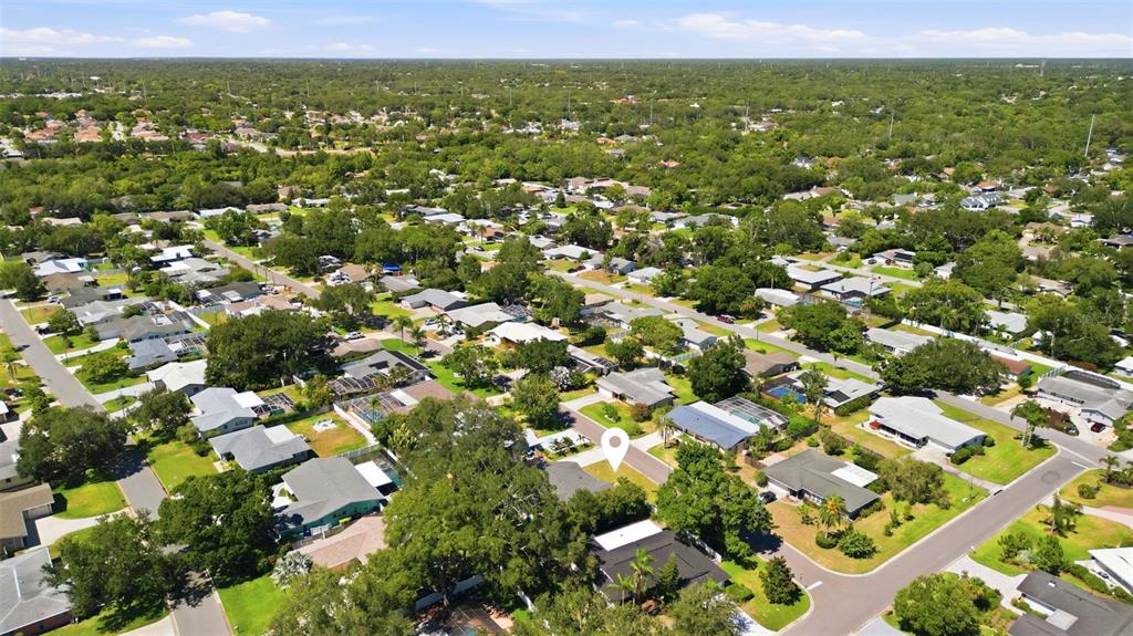 2310 Harrison Drive Dunedin, FL 34698 - Photo 42 of 46